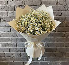 Букет цветов из:  Ромашки #REPLACE_PRED# Воронки